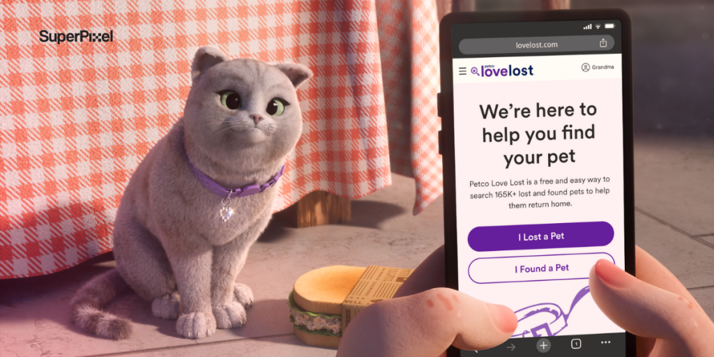 Animated Promotion Videos